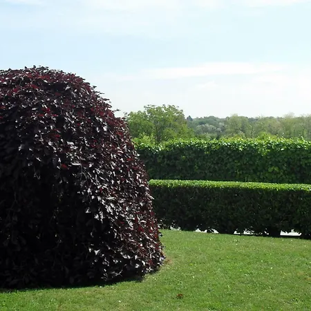 מלון Isotta Veruno