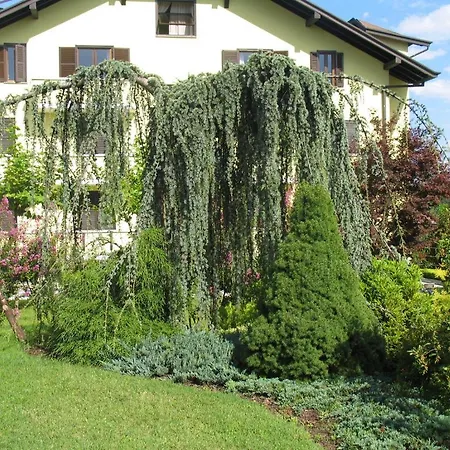 מלון Isotta Veruno