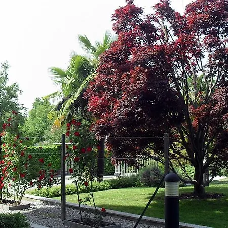 Hotel Isotta 3*