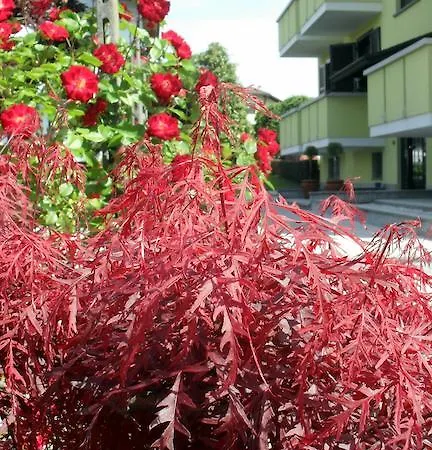 Isotta Hotel Veruno